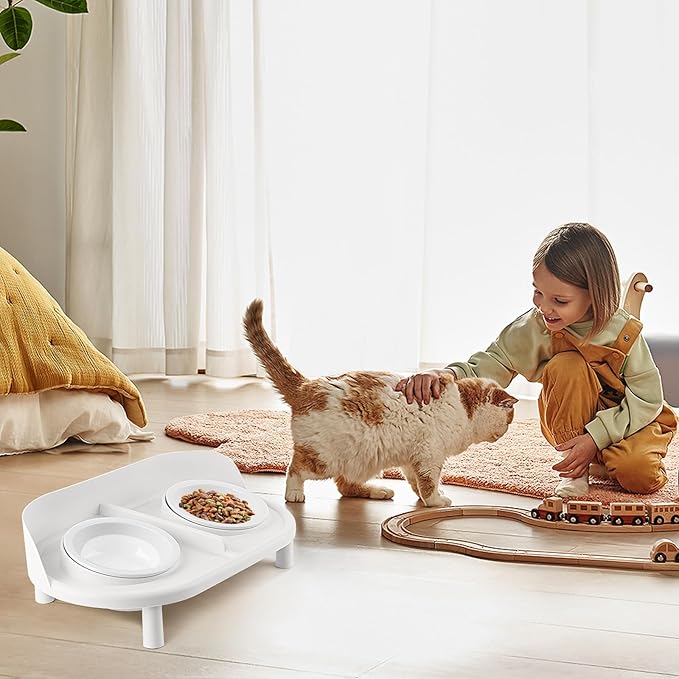 Elevated Ceramic Pet Bowl Set with Stand