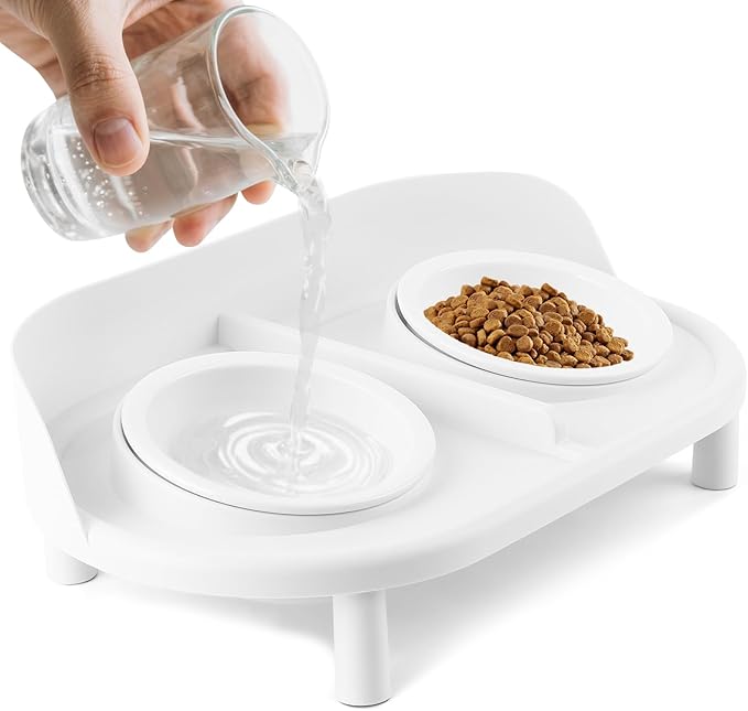 Elevated Ceramic Pet Bowl Set with Stand