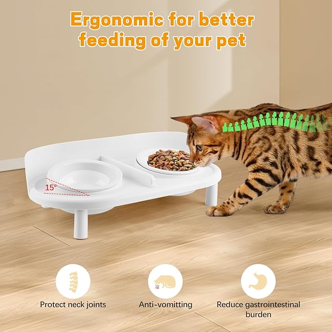 Elevated Ceramic Pet Bowl Set with Stand