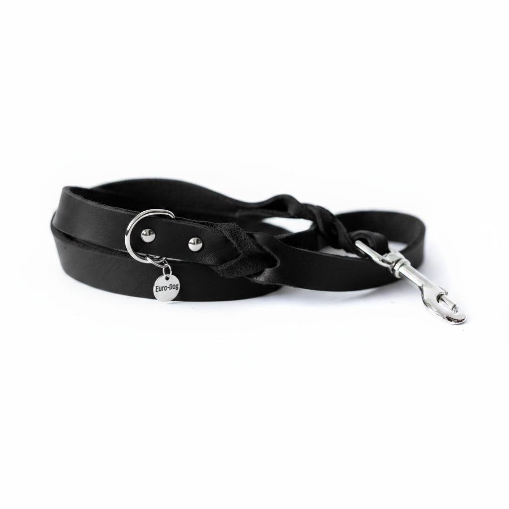 Black Braided Leather Dog Leash