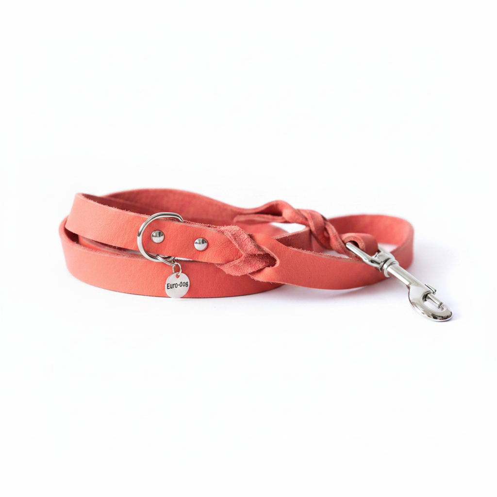 Coral Braided Leather Dog Leash